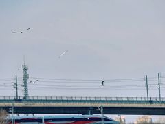 -丁香湖公园