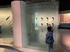 -青藏高原自然博物馆