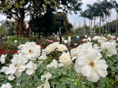 -人民公园(罗湖区)