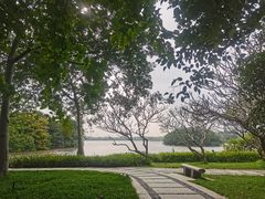 -海珠湖公园