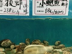 水产区-东海渔村海鲜码头大排档