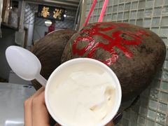-洪馨椰子