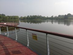 -东郊湿地公园