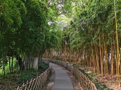 -西湖外事游船(花港观鱼码头)