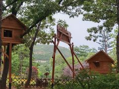 -北京西山国家森林公园