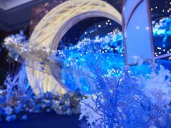 -上海明天广场JW万豪酒店·宴会厅
