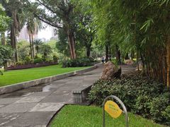 -晓港公园
