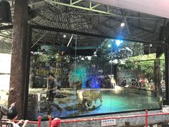 -清迈夜间动物园