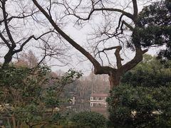 -杭州植物园