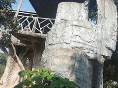 -松山湖梦幻百花洲