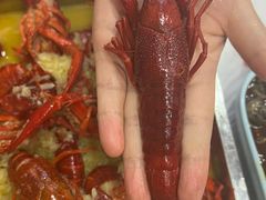 -盱眙虾怪·旗舰店