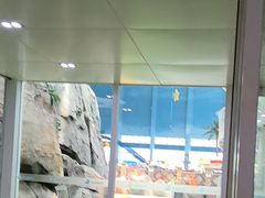 -青岛东方影都融创水世界