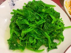 清炒豌豆尖-力力豆花庄(广渠门店)