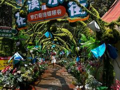-牛鱼嘴原始生态风景区