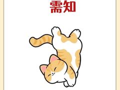 -翊宠yipet猫狗购宠庄园犬舍•猫舍