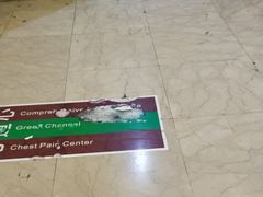 -上海中医药大学附属曙光医院(东部)