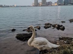 -北龙湖湿地公园