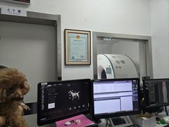 -北京观赏动物医院·24小时大型综合·猫专科·异宠专科
