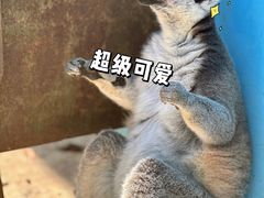-秦皇岛野生动物园