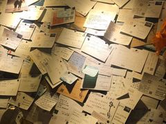 -古树酸奶(八廓南街店)
