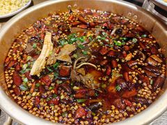 毛血旺-灶东家民间菜(回兴店)