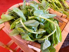 豌豆尖-阿婆情腊排骨火锅(金虹路店)