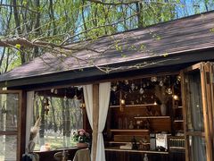 -长白岛森林公园