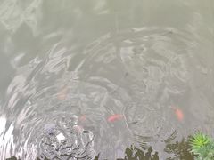 -黄村公园