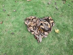 -重庆中央公园(渝北区)