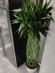 -悟空祛痘·诺奖技术专业店