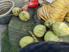 -范饭椰林川湘味海鲜·椰子鸡(三亚湾椰梦长廊店)