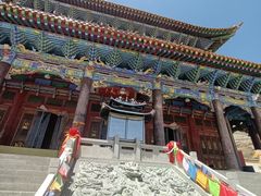 -无极龙凤宫