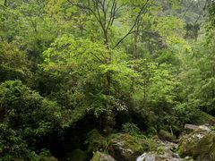 -青城山