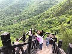 -皇藏峪国家森林公园