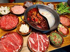 -阳阳老火锅(小南门店)