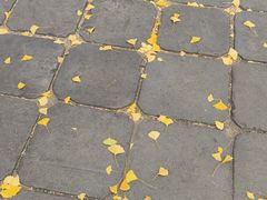 -泰山风景名胜区-普照寺