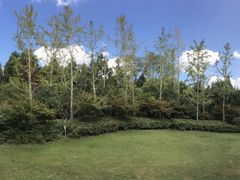 -东平国家森林公园