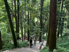 -青城山