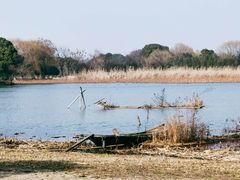 -梁鸿国家湿地公园