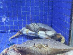 -香山湖渔家大院