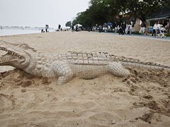 -南沙蒲洲花园