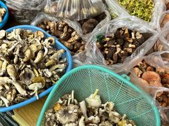 -南坛综合农贸市场