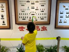 -上海昆虫博物馆