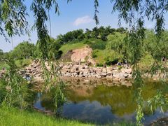 -莫子山公园