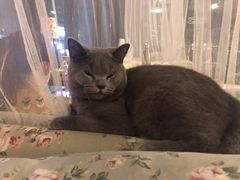 -么么咖啡(燕郊店)