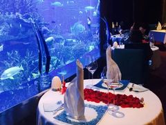 -迪拜帆船酒店海底餐厅
