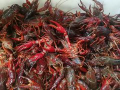 -华阳海鲜市场(府西路店)