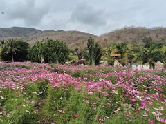 -三亚南山文化旅游区