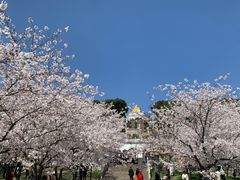 -苏州上方山国家森林公园