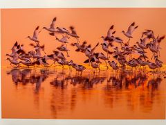 -上海虹桥当代艺术馆